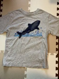 GAP サメプリント グレー Tシャツ 160