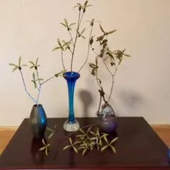 2025年最新】つくばねの人気アイテム - メルカリ