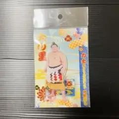 大相撲★大の里★アクリルスタンド★化粧まわし★横綱バージョン