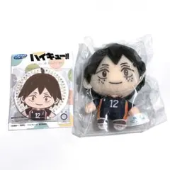 ハイキュー　セガラッキーくじ　ぬいぐるみ　缶バッジ　山口 忠