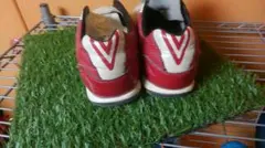 アンブロトレーニングシューズ