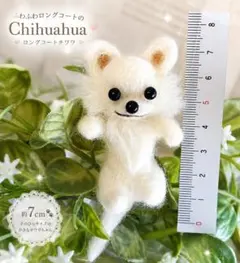 2026年最新】羊毛フェルト チワワの人気アイテム - メルカリ