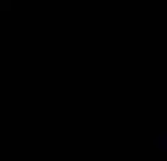 サイベーシック　ポロシャツのサムネイル
