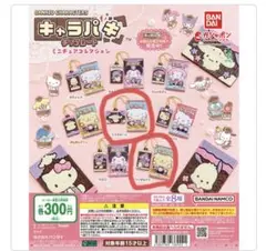 サンリオ キャラパキミニチュアコレクション