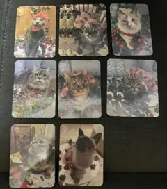 猫カフェ mocha いちご収穫祭 にゃんずトレカ 新宿店 - メルカリ
