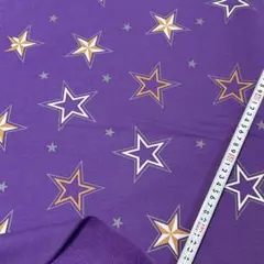 Item thumbnail for item 1cb80066-c275-4c4c-9397-da5620aa0b3a