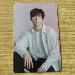 スビン　トレカ