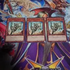 パキケファロ 20tp