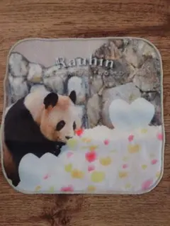 2026年最新】アドベンチャーワールド タオルの人気アイテム - メルカリ