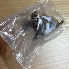 カイカイ　灰色メロン ガチャガチャ　ビーグル