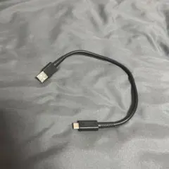 た*き様 Nintendo USB-A to USB-Cケーブル