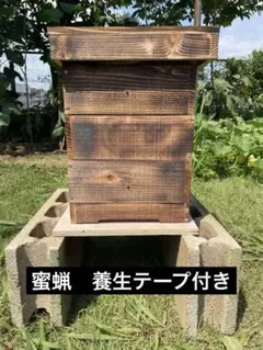 日本みつばち巣箱　日本ミツバチ巣箱　日本蜜蜂巣箱　重箱式　135 日本ミツバチ巣箱 日本みつばち巣箱 日本蜜蜂巣箱 重箱式 下開き戸 135