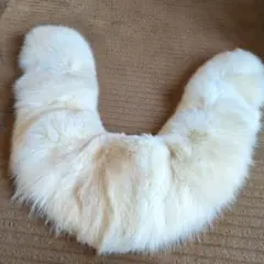 ✨美品✨サガフォックス ショール 本毛皮 ブルーフォックス リアルファー