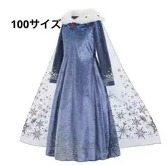 アナと雪の女王　エルサ　誕生日パーティ　100サイズ
