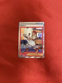 アカマツ SAR SV8a テラスタルフェスex 227/187