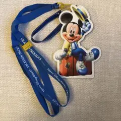 ディズニー バケーションパッケージ 特典 チケットホルダー