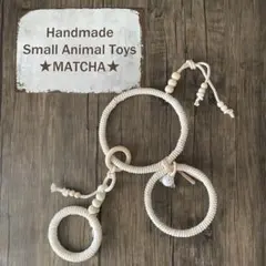 小動物☆Natural STAR ブランコフクロモモンガ バードアスレチック