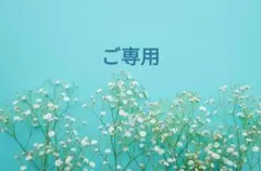 ご専用