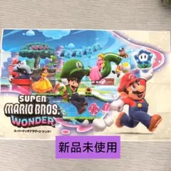 スーパーマリオブラザーズ　レジャーシート