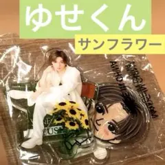 八木勇征 ミニアクリルスタンド2個セット ガチャ SUNFLOWER - メルカリ