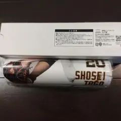 読売ジャイアンツ　巨人　両面　ミニ　ペナント　戸郷　１点