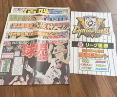 阪神タイガース 2025年リーグ優勝 記念新聞セット