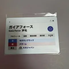 競馬UMAbred×netkeiba HUBコラボ 馬券ケース ガイアフォース