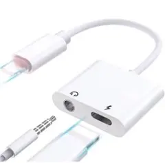 iPhone 充電 変換アダプター