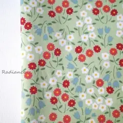 Item thumbnail for item bff6b743-9a91-4677-be80-758965d73ae4