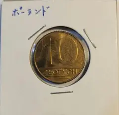 骨牌様 リクエスト 3点 まとめ商品
