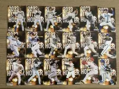 2024 プロ野球チップス　タイトルホルダーのサムネイル