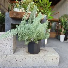 NAKAME様 リクエスト 2点 まとめ商品