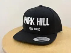 PARK HILL NEW YORK スナップバック キャップ wu-tang - メルカリ