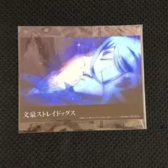 Item thumbnail for item b6162ca5-c7af-4c42-93d6-1f9cd19cdee9