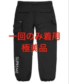 Supreme THE NORTH FACE Belted Cargo Pant