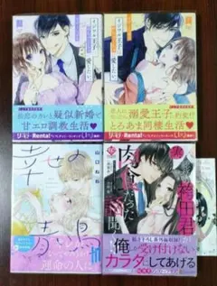 イジワル王子はめちゃくちゃに愛したい。 他 TLコミック ※一部難ありのサムネイル