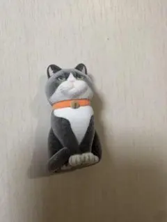 紙袋に入った猫　フロッキー2 ハチワレ　黒