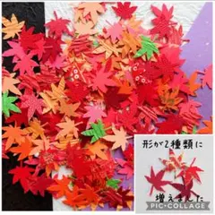 もみじ 紅葉 200枚セット