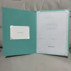 Item thumbnail for item 62adf56b-81d9-499f-bf02-3550b60d1746