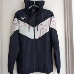 Item thumbnail for item e5e5598d-eee8-47fd-a4fe-573905cc3f82