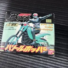希少】パンク ロックマンエグゼ カードダス 第17回次世代ワールド