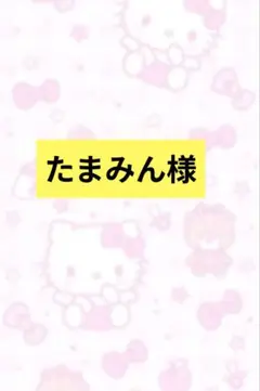 たまみん様専用 アクリルビーズ