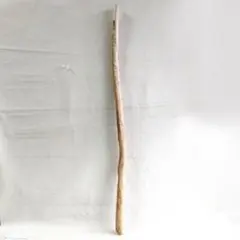 【ytx様専用商品】97mロングサイズ枝流木 mc594 フォロワー割