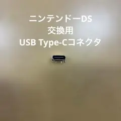 ニンテンドーDS lite USB TYPE C 充電コネクタ