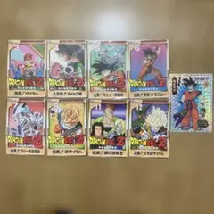 ドリランド 1000年の宝物 全12巻 レンタルアップDVDセット - メルカリ