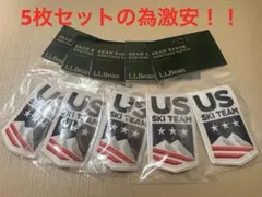 【希少】L.L.Bean ワッペン USA製 US SKI TEAM 5枚