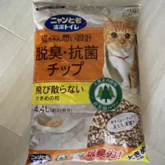 Item thumbnail for item 26cfeaa3-830c-4c7b-b9fc-bd87285660df