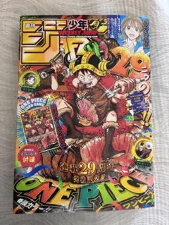 2026年最新】ワンピース29周年の人気アイテム - メルカリ