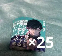 糸師凛 キャラクターグッズ