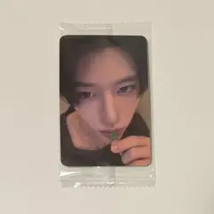 nct wish シオン タレントカード